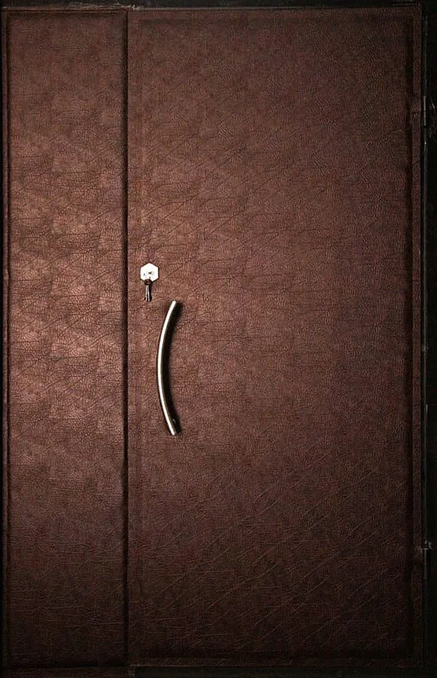 Двери в квартиру Тамбурная дверь CA-8 - внешняя сторона