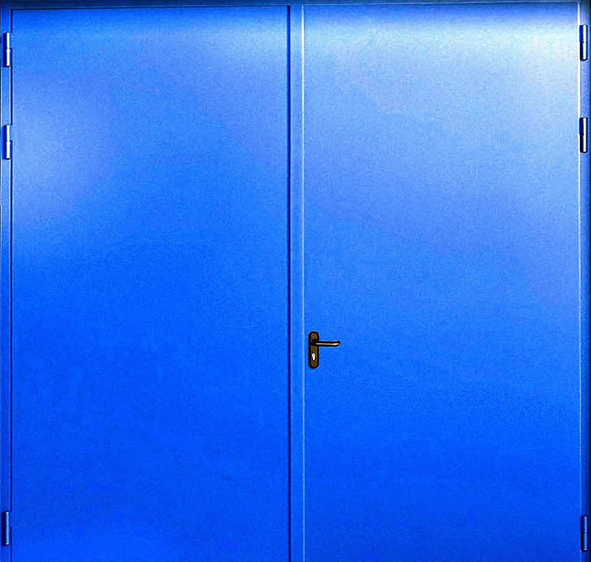 Противопожарные ворота Противопожарные ворота FX-11 - внешняя сторона