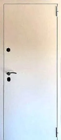 Нитроэмаль Белая наружная входная дверь (техническая) TL-14 - внешняя сторона