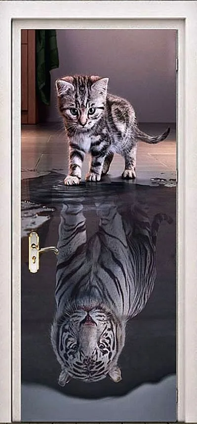 Фотопечать Входная дверь ZA-11 - внешняя сторона