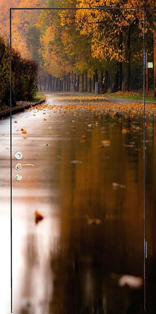 Фотопечать Входная дверь ZA-2 - внешняя сторона