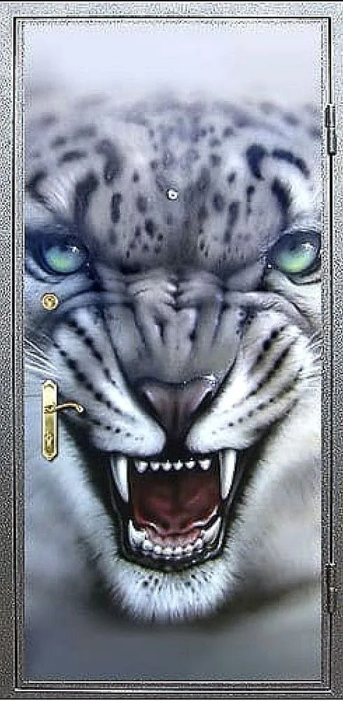 Фотопечать Входная дверь ZA-9 - внешняя сторона